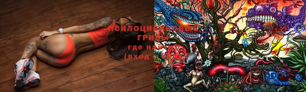 ECSTASY Медвежьегорск