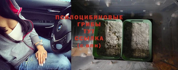 ECSTASY Медвежьегорск