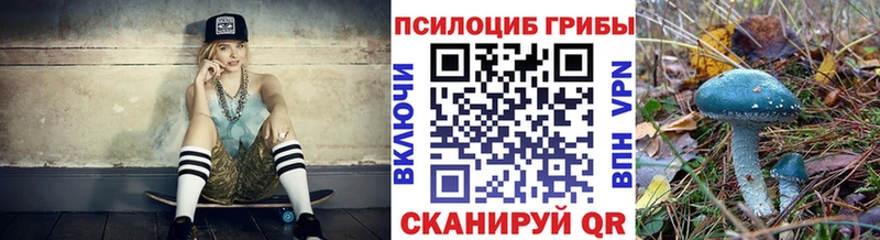 Купить закладки  Новороссийск  Псилоцибиновые грибы прущие грибы 